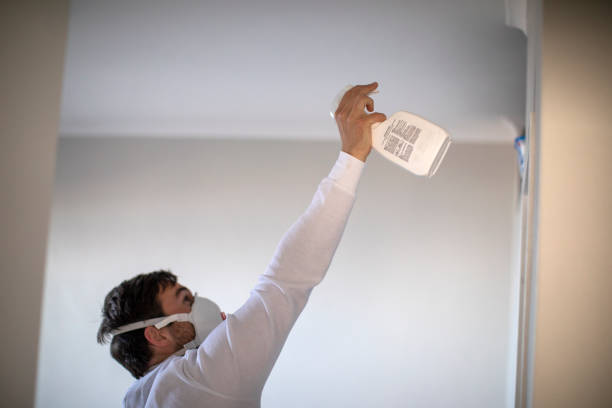 Best Commercial Mold Removal  in South Lebanon, OH
