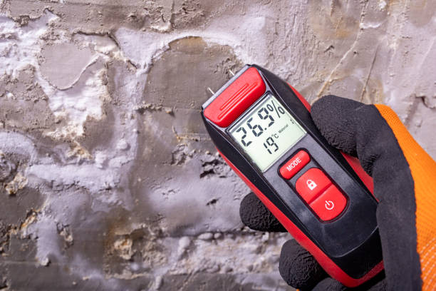 Best Professional Mold Removal  in South Lebanon, OH
