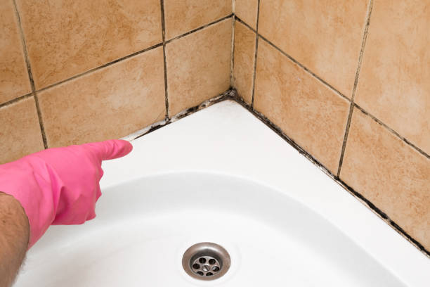 Best Crawl Space Mold Removal  in South Lebanon, OH